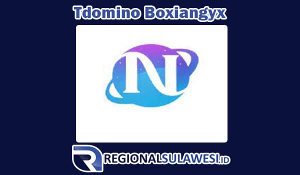 Tdomino Boxiangyx